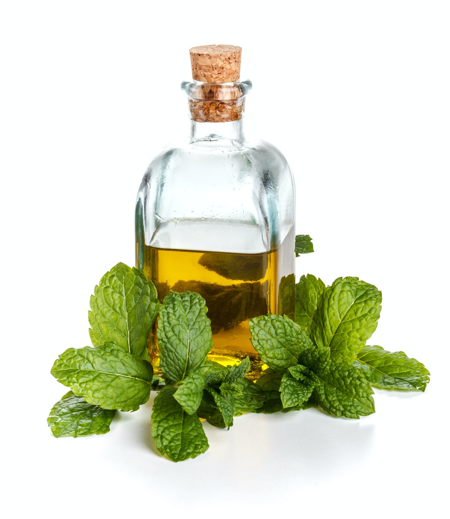 Olive oil with mint